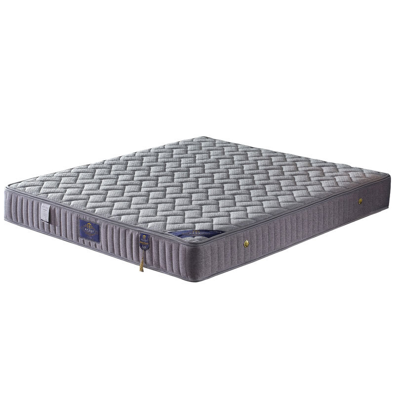德世朗床垫2米×1.2米×0.24米  定制（单位：张）