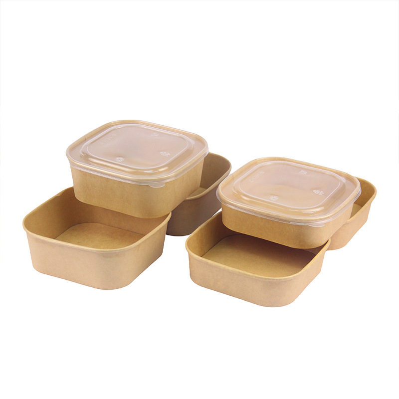 绿文一次性打包盒牛皮纸方形餐盒（含pet吸塑透明盖）500ML  300套/箱（箱）