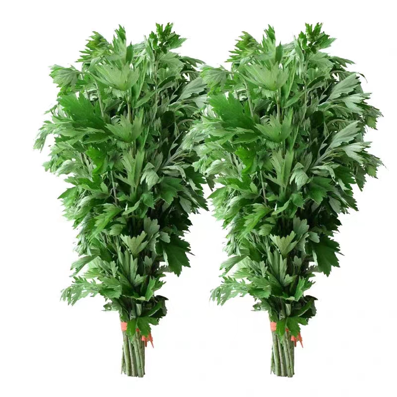 国产  新鲜艾草花束 10棵/捆 绿色 (单位:捆)