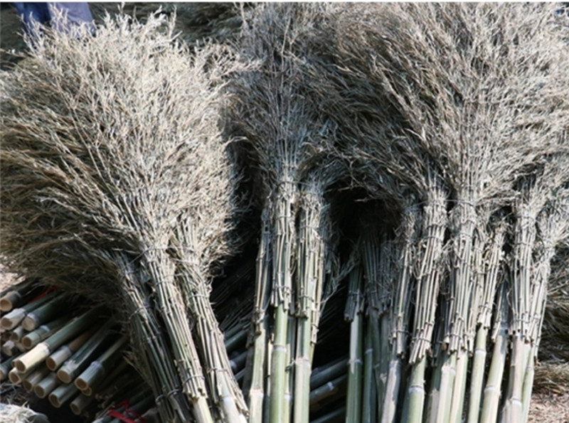天邦竹竿把竹扫帚约2300*800单位：把（北京专供）