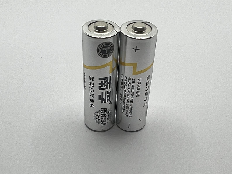 南孚智能门锁专用5号电池（20粒盒装）LR6-4S EN 卡/（卡）