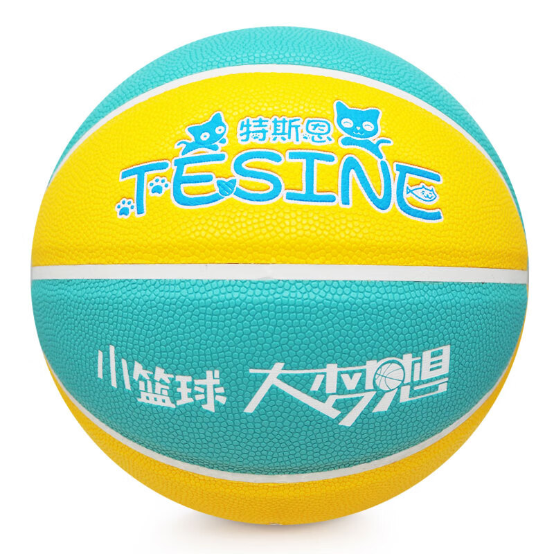 特斯恩儿童篮球PU-5号-黄蓝TSP-5009(单位：个)