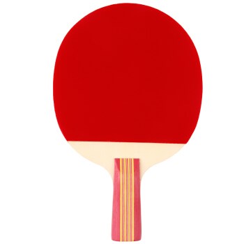 红双喜DHS 乒乓球拍 横直套装 2拍1球 Ⅱ型（单位：套）