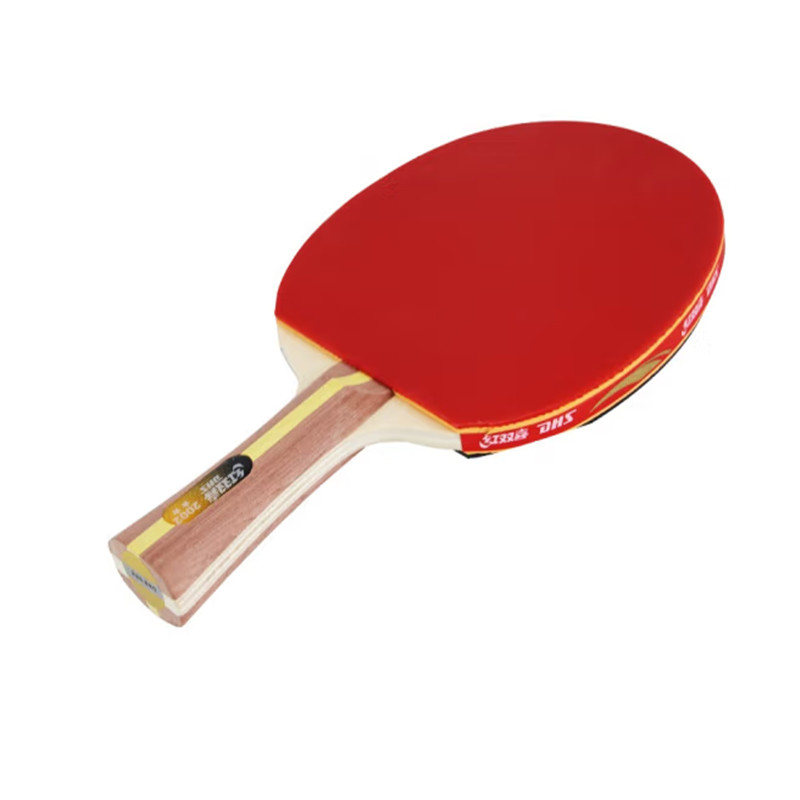 红双喜(DHS) H2002 双面反胶横拍乒乓球拍（单位：只）红色