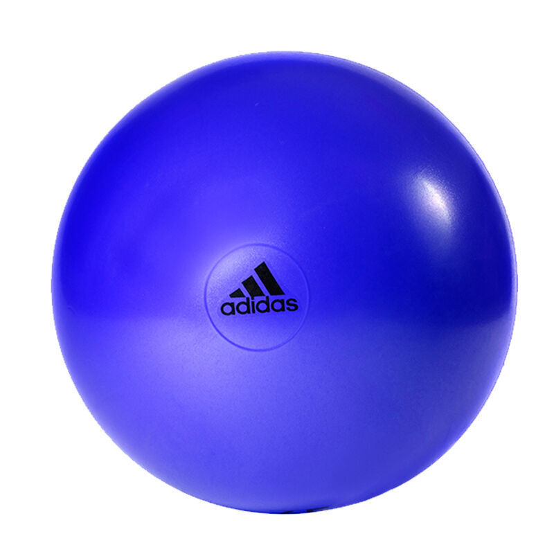 阿迪达斯ADBL-13245PL瑜伽球蓝色55cm(个)