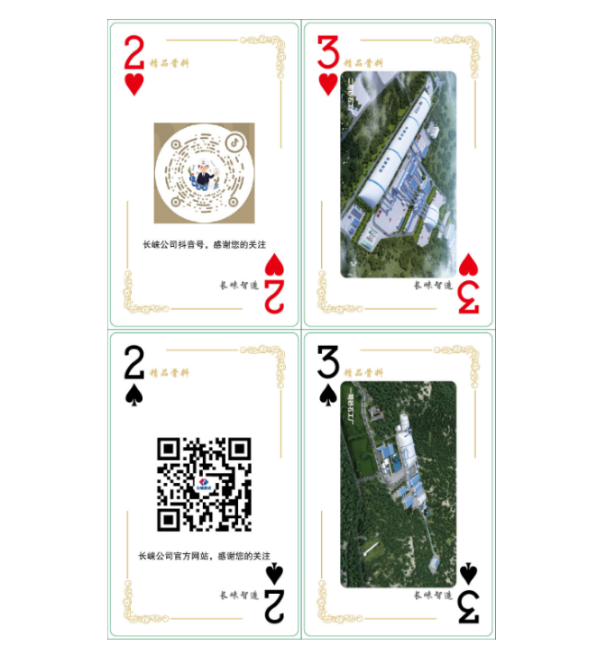宾王（BINWANG）黑芯材质 掼蛋扑克牌定制【500副装】(单位：大盒)