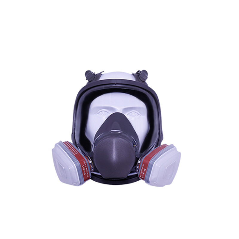 朗固 5002－2001防毒面具面罩带综合滤罐 呼吸防护（单位：套）