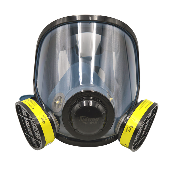 耐呗斯NBS8800TNE硅胶全面罩防尘及防酸性气体四件套（单位：套）
