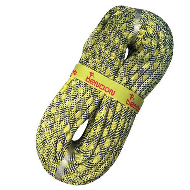 TENDON 捷克 10.5mm/200m标准动力单绳 主绳 tendon动力单绳(单位:米)