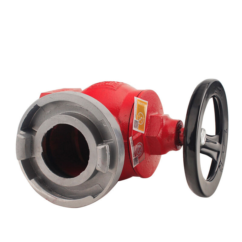 东消 SNWZ65普通室内旋转减压稳压消火栓（个）