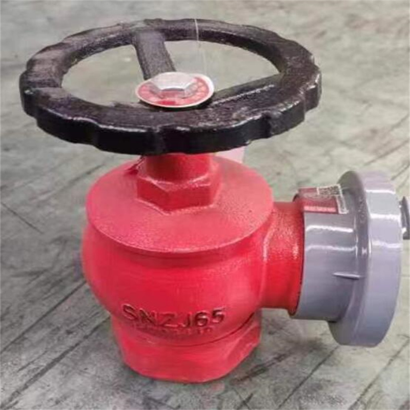 鼎梁（DL）SNZJ65旋转减压式室内消火栓栓头(单位：个)
