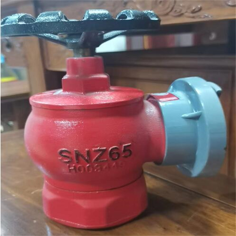 鼎梁（DL）SNZ65旋转消火栓(单位：个)