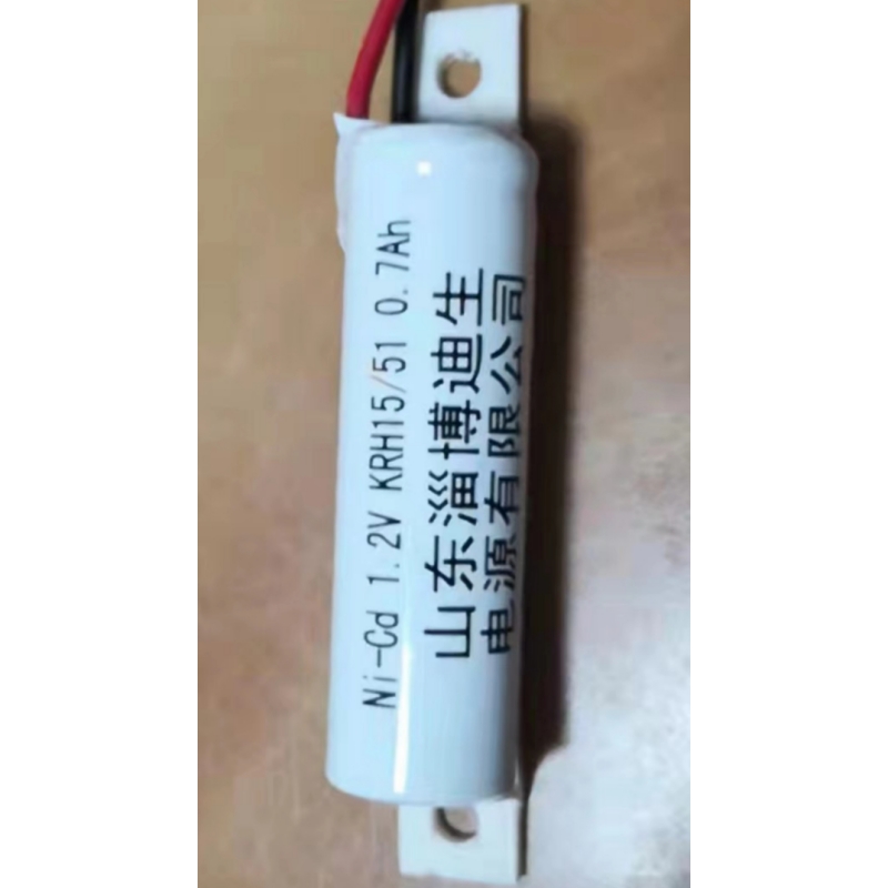 迪生 消防应急灯电池 1.2V 0.75Ah （单位：个）
