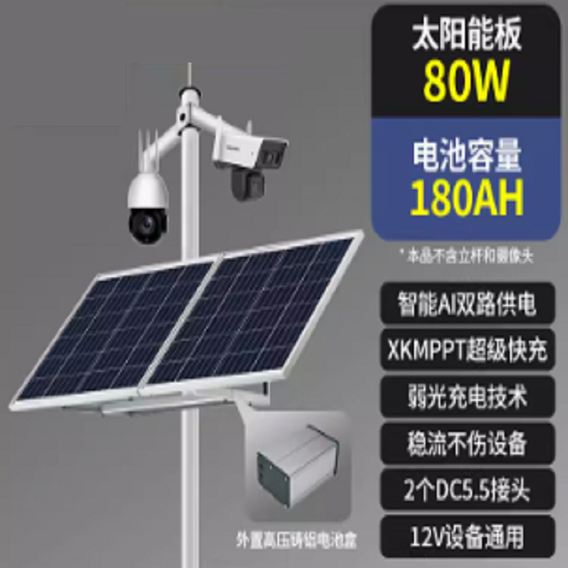 雷恩 太阳能监控供电系统 80W180AH 电池 (单位：套)