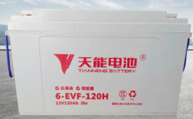 天能6-EVF-107电池（块）电池(单位：块)
