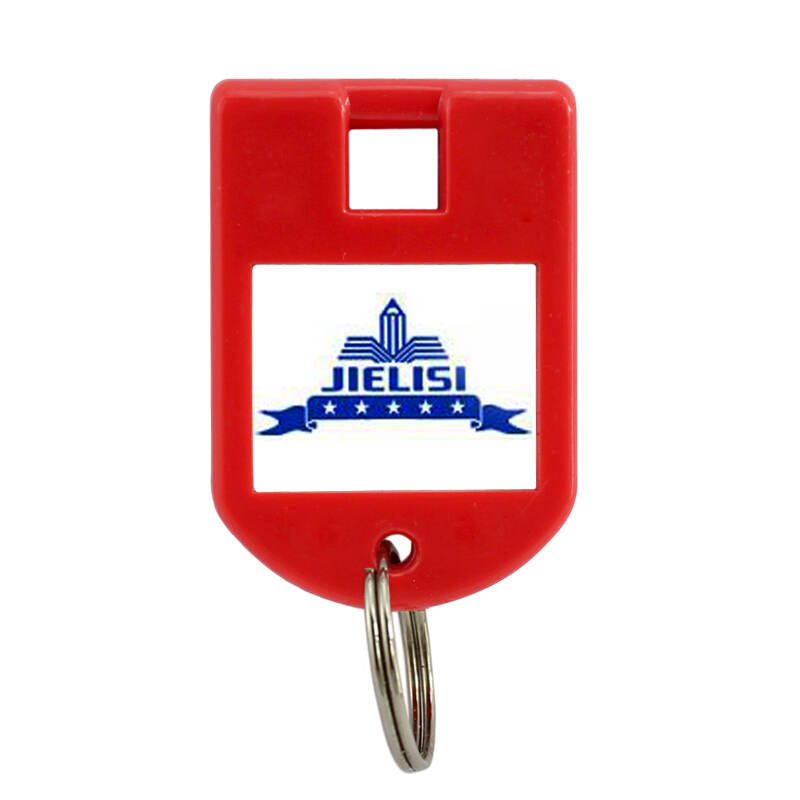 杰丽斯（JIELISI）087钥匙牌钥匙圈分类吊牌40*23mm（单位：卡）