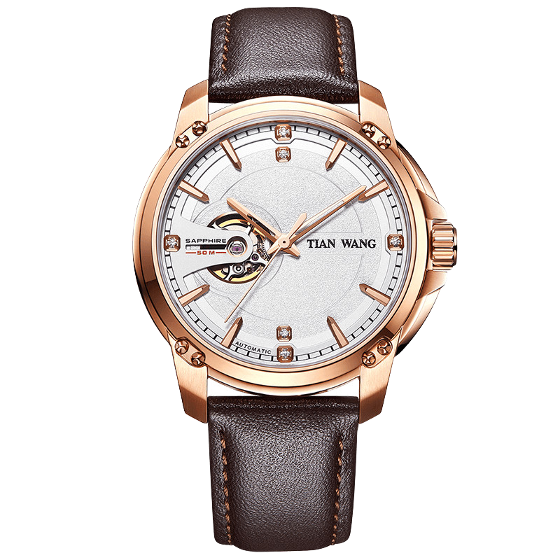 天王（TIAN WANG）手表 创系列皮带机械表商务男士手表玫瑰金色送男友GS51049P.LC.S(支)
