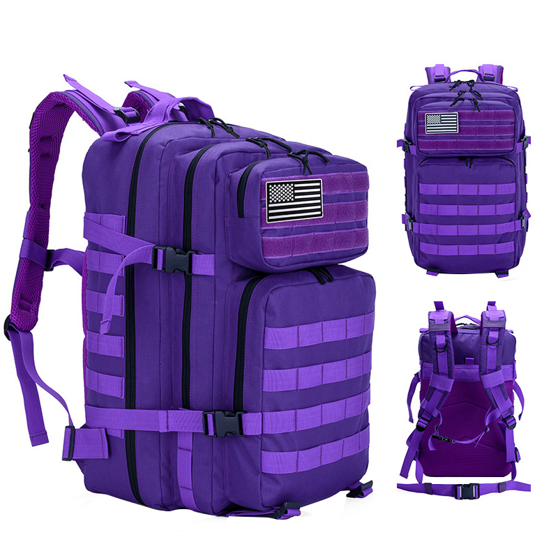 三极户外（Tri－polar）TP2022户外休闲双肩包旅行出差电脑包17寸登山运动户外背包 紫色（个）