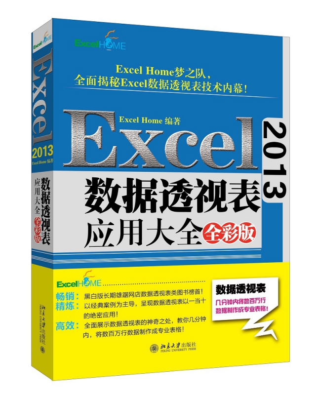 Excel2013数据透视表应用大全(全彩版)
