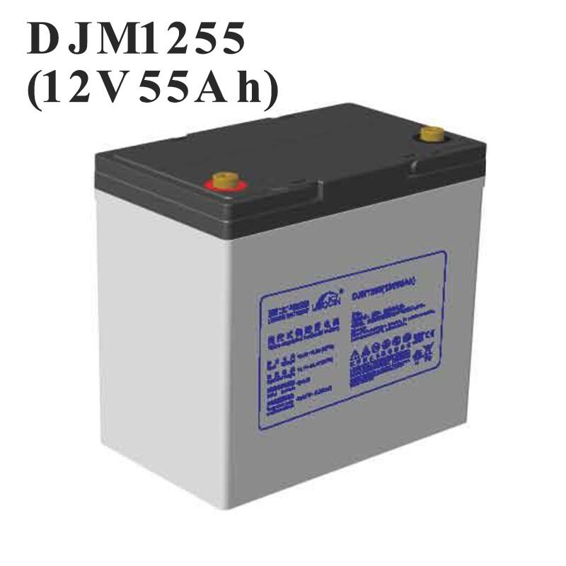 理士蓄电池DJM1255(12V55Ah)（节）