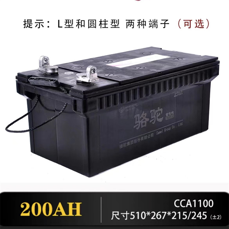 骆驼蓄电池6-QWLZ-200（个）