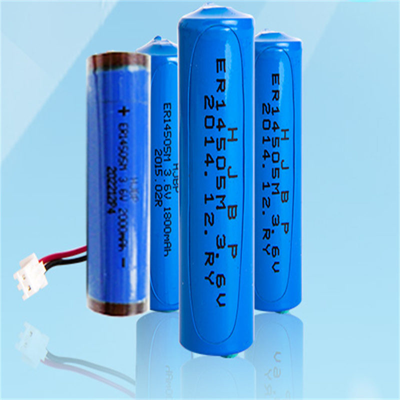 天威ER14505/2.0铅酸蓄电池（个）