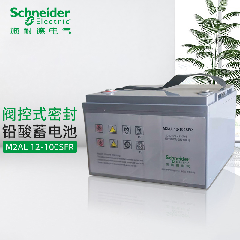 APC施耐德M2AL12-100SFR 原厂免维护密封铅酸蓄电池 UPS不间断电源供电电池12V100Ah(个)