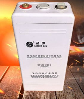 山东圣阳  GFM-200C  阀控式密封蓄电池（单位：套）