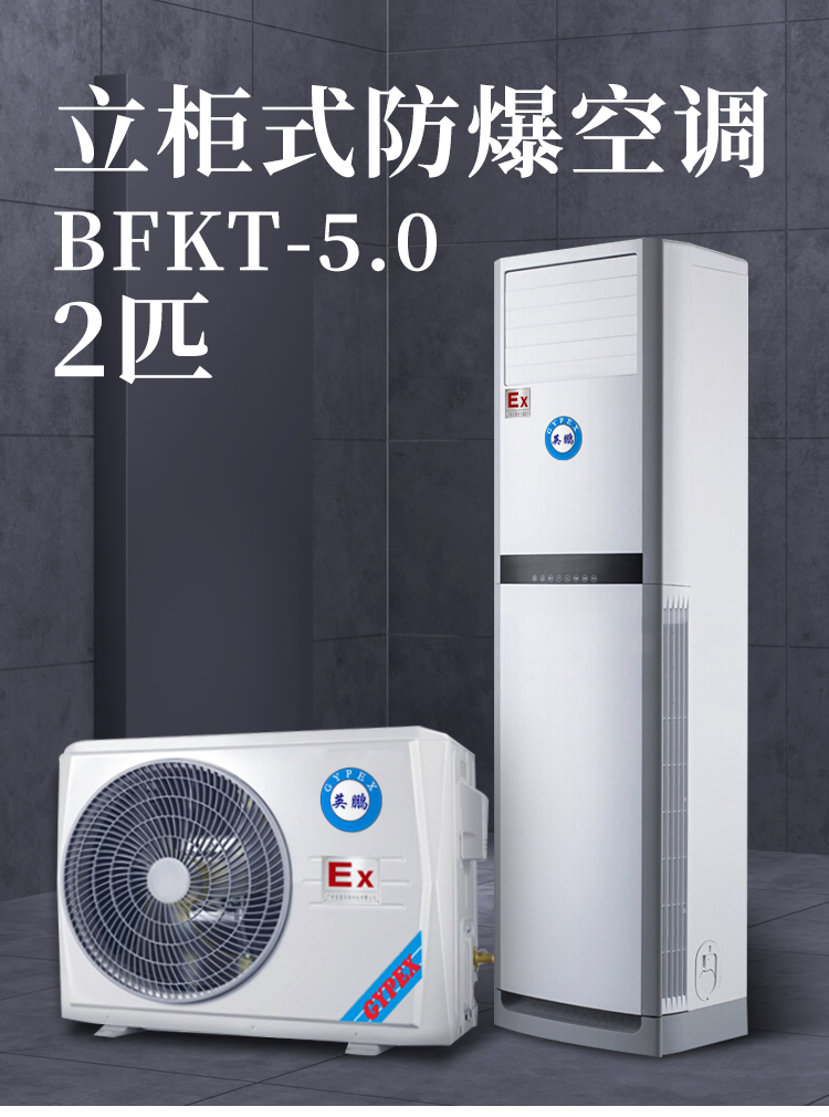 英鹏 BFKT-5.0英鹏防爆空调立柜式 2匹柜机 白色（台）