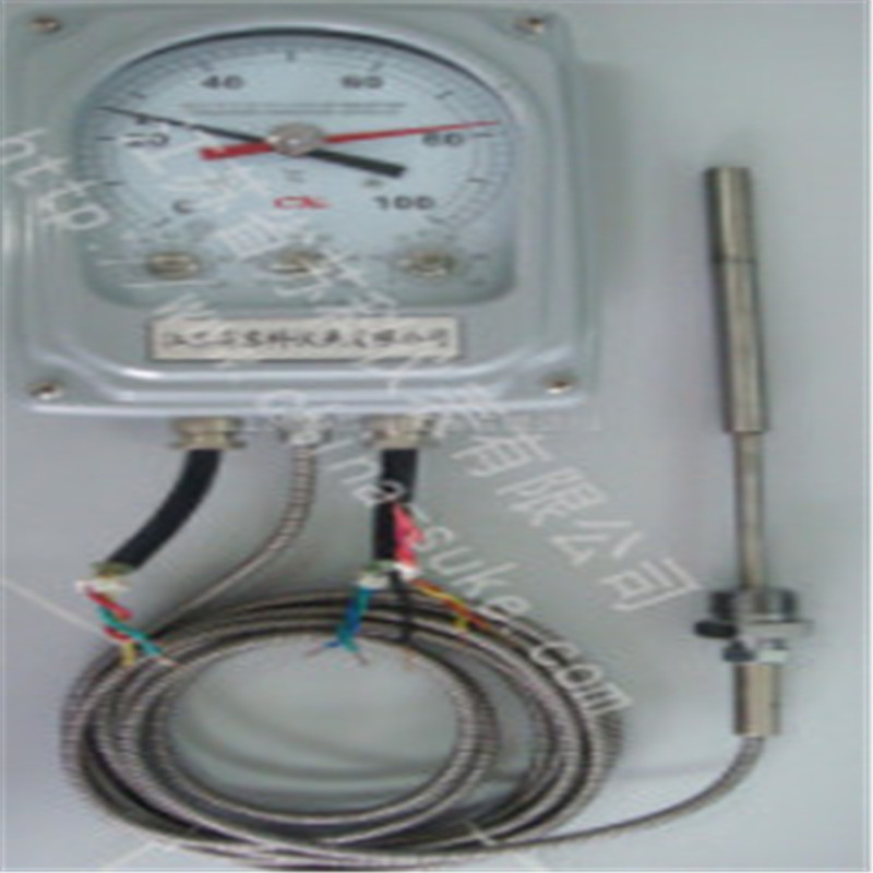 中坚 变压器油面温控器 BWY-803A（TH）(个)