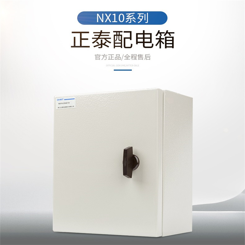 正泰	电表箱	NX10 30*25*18（个）