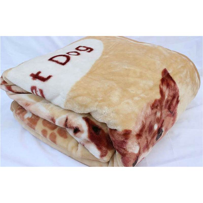 美姿梦拉舍尔毛毯200*150cm(条)